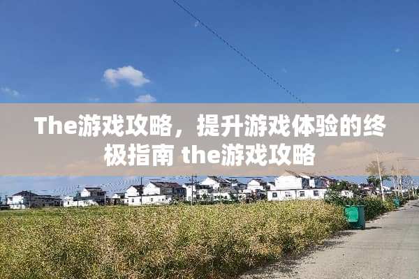 The游戏攻略，提升游戏体验的终极指南 the游戏攻略