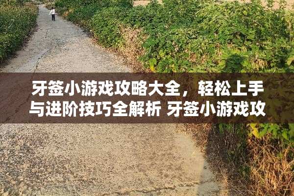 牙签小游戏攻略大全，轻松上手与进阶技巧全解析 牙签小游戏攻略大全