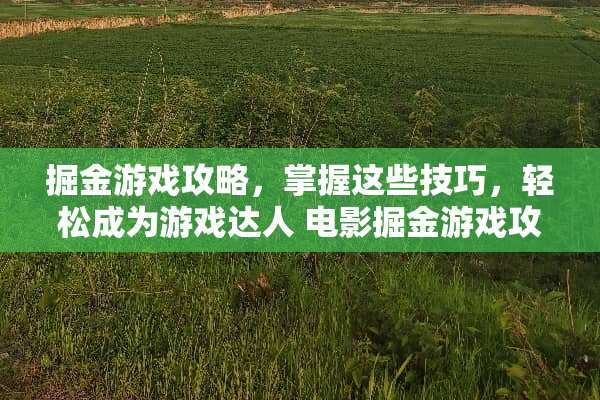 掘金游戏攻略，掌握这些技巧，轻松成为游戏达人 电影掘金游戏攻略
