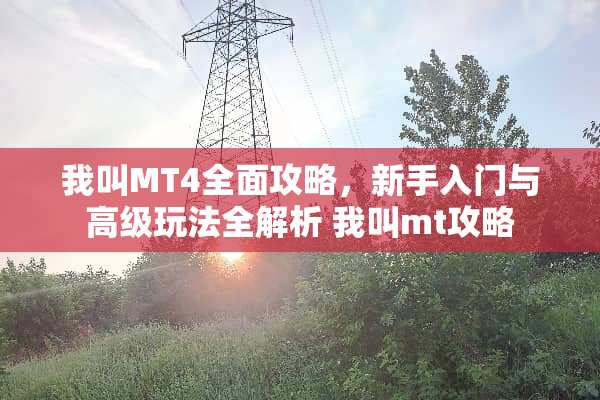 我叫MT4全面攻略，新手入门与高级玩法全解析 我叫mt攻略