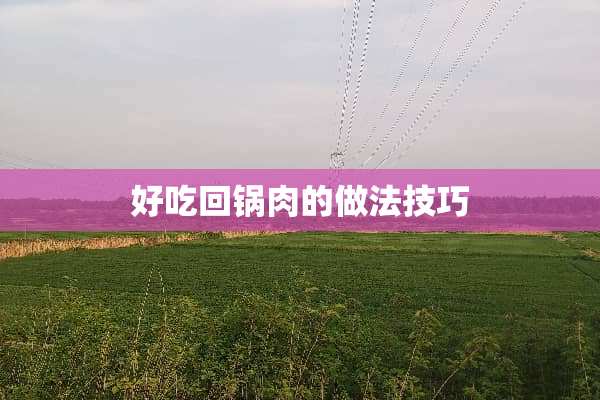 好吃回锅肉的做法技巧