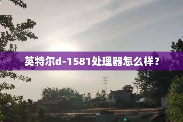 英特尔d-1581处理器怎么样？