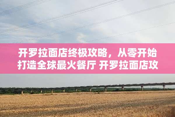 开罗拉面店终极攻略，从零开始打造全球最火餐厅 开罗拉面店攻略
