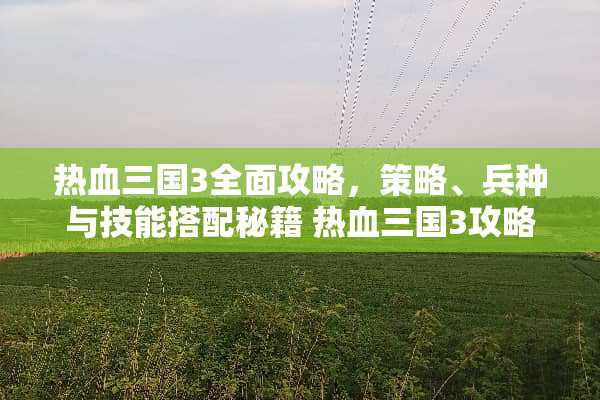 热血三国3全面攻略，策略、兵种与技能搭配秘籍 热血三国3攻略