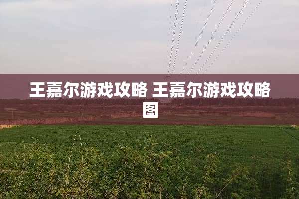 王嘉尔游戏攻略 王嘉尔游戏攻略图