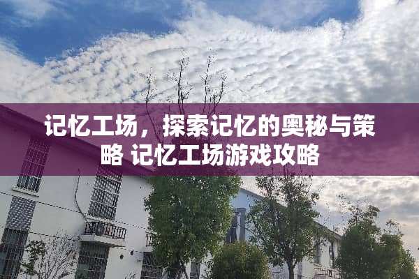 记忆工场，探索记忆的奥秘与策略 记忆工场游戏攻略