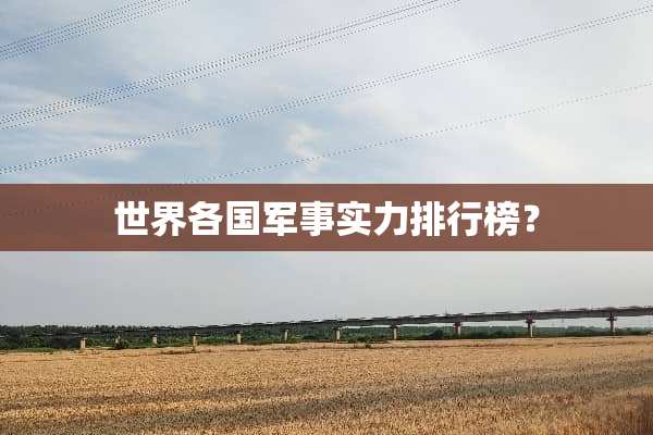世界各**事实力排行榜？