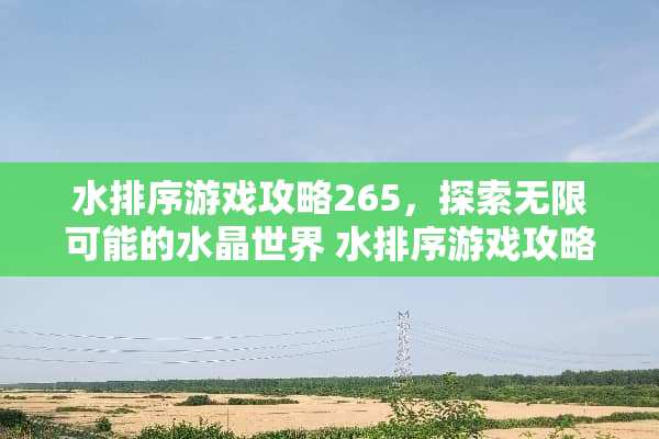 水排序游戏攻略265，探索无限可能的水晶世界 水排序游戏攻略265