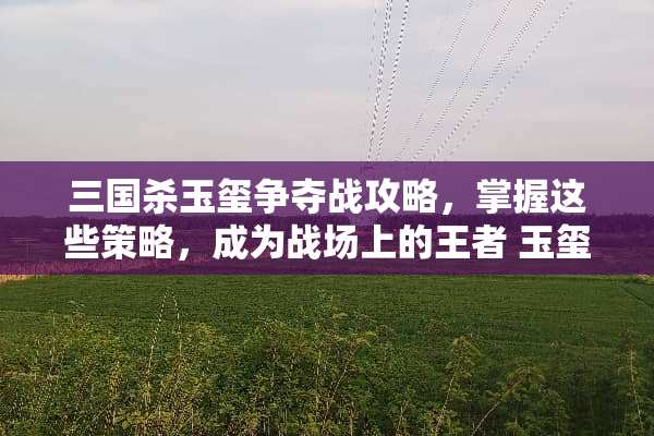 三国杀玉玺争夺战攻略，掌握这些策略，成为战场上的王者 玉玺争夺战攻略