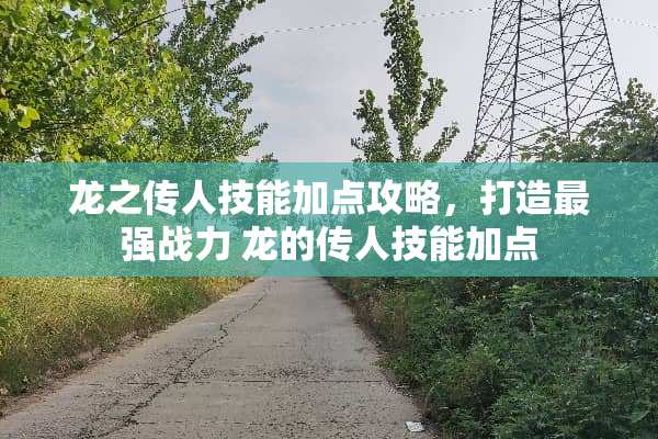 龙之传人技能加点攻略，打造最强战力 龙的传人技能加点
