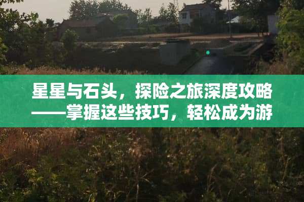 星星与石头，探险之旅深度攻略——掌握这些技巧，轻松成为游戏达人！ 星星和石头攻略游戏