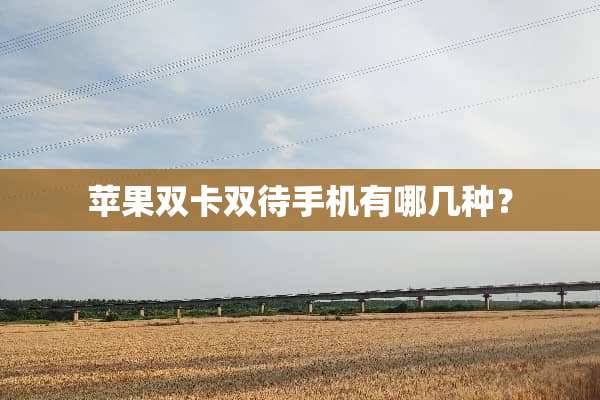 苹果双卡双待手机有哪几种？