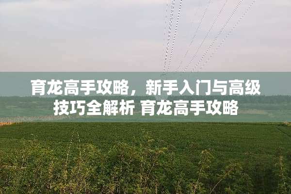 育龙高手攻略，新手入门与高级技巧全解析 育龙高手攻略
