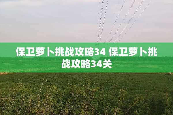 保卫萝卜挑战攻略34 保卫萝卜挑战攻略34关