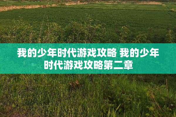 我的少年时代游戏攻略 我的少年时代游戏攻略第二章