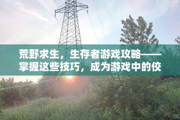 荒野求生，生存者游戏攻略——掌握这些技巧，成为游戏中的佼佼者 幸存者游戏攻略