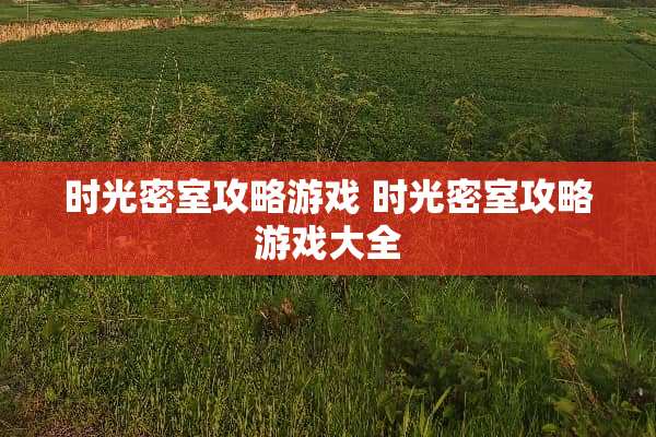 时光密室攻略游戏 时光密室攻略游戏大全