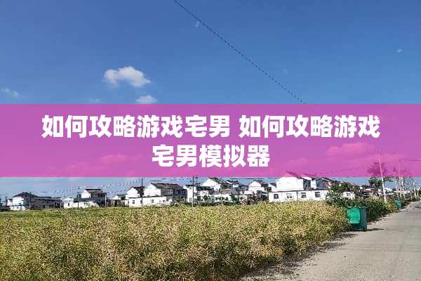 如何攻略游戏宅男 如何攻略游戏宅男模拟器