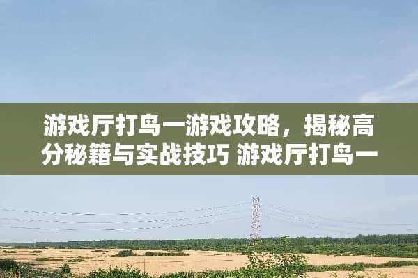 游戏厅打鸟一游戏攻略，揭秘高分秘籍与实战技巧 游戏厅打鸟一游戏攻略