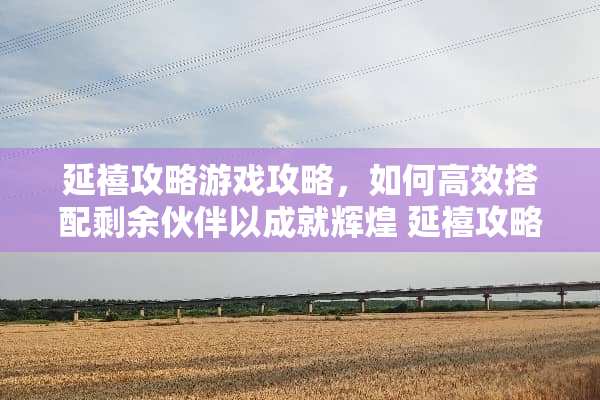 延禧攻略游戏攻略，如何高效搭配剩余伙伴以成就辉煌 延禧攻略游戏剩余伙伴