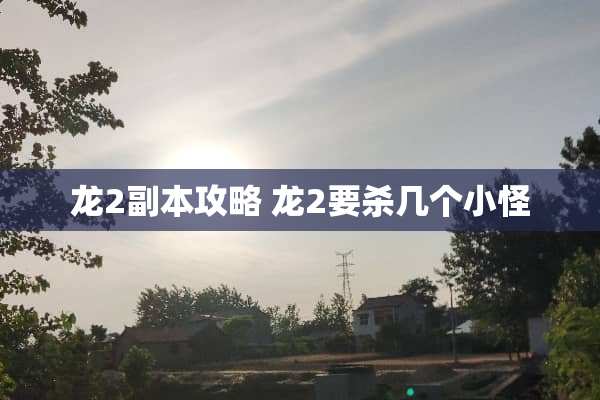 龙2副本攻略 龙2要杀几个小怪