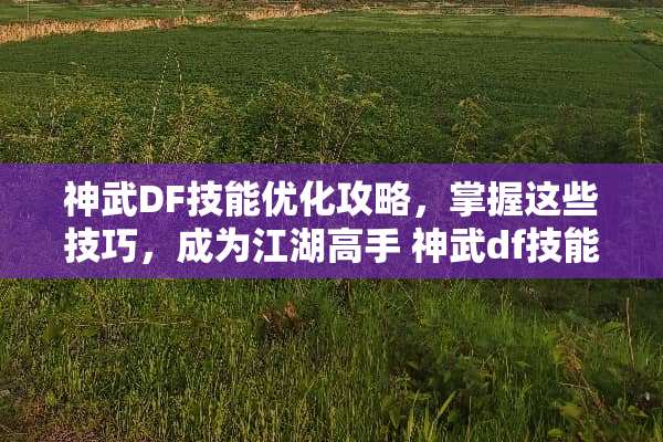 神武DF技能优化攻略，掌握这些技巧，成为江湖高手 神武df技能