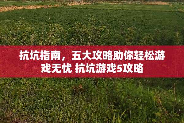 抗坑指南，五大攻略助你轻松游戏无忧 抗坑游戏5攻略