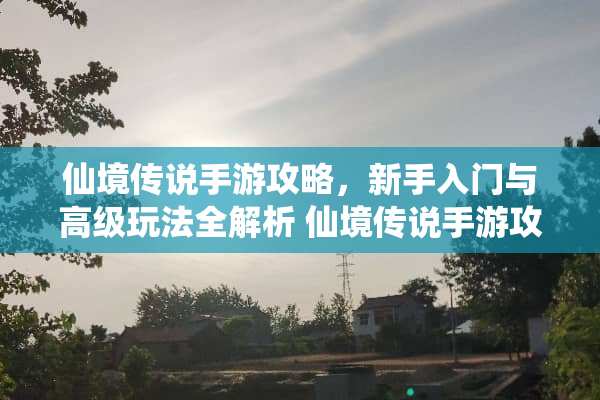 仙境传说手游攻略，新手入门与高级玩法全解析 仙境传说手游攻略