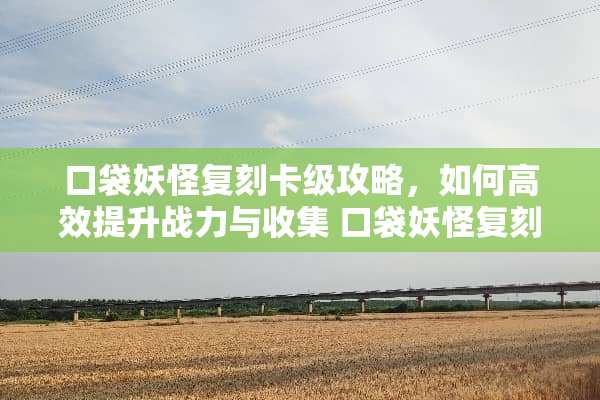 口袋妖怪复刻卡级攻略，如何高效提升战力与收集 口袋妖怪复刻卡级攻略