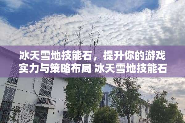 冰天雪地技能石，提升你的游戏实力与策略布局 冰天雪地技能石