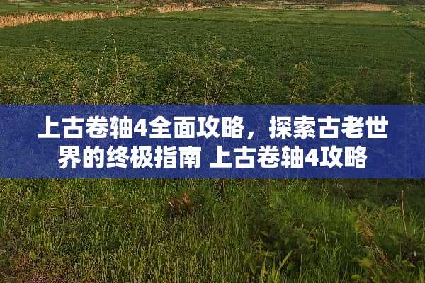 上古卷轴4全面攻略，探索古老世界的终极指南 上古卷轴4攻略