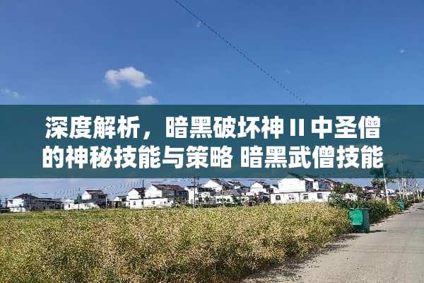 深度解析，暗黑破坏神Ⅱ中圣僧的神秘技能与策略 暗黑武僧技能