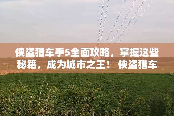 侠盗猎车手5全面攻略，掌握这些秘籍，成为城市之王！ 侠盗猎车秘籍攻略