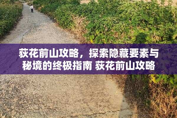 荻花前山攻略，探索隐藏要素与秘境的终极指南 荻花前山攻略