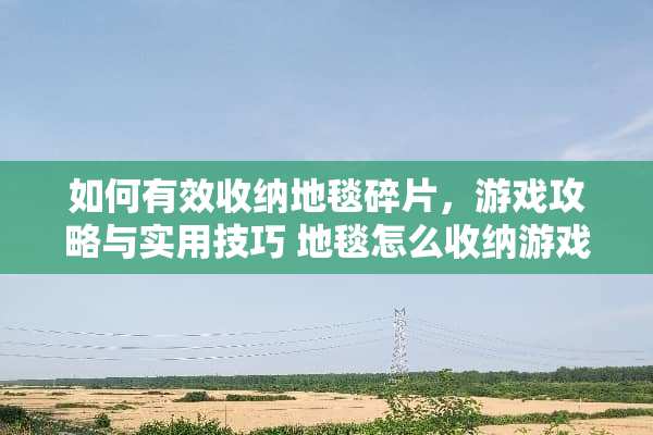 如何有效收纳地毯碎片，游戏攻略与实用技巧 地毯怎么收纳游戏攻略