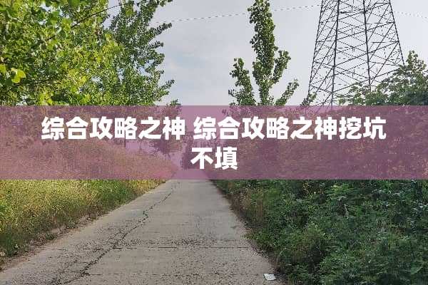 综合攻略之神 综合攻略之神挖坑不填
