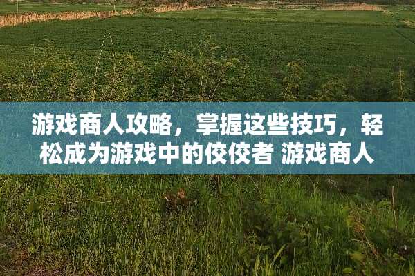游戏商人攻略，掌握这些技巧，轻松成为游戏中的佼佼者 游戏商人攻略
