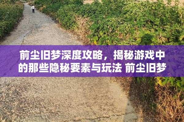 前尘旧梦深度攻略，揭秘游戏中的那些隐秘要素与玩法 前尘旧梦攻略