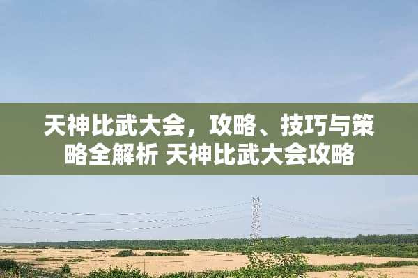 天神比武大会，攻略、技巧与策略全解析 天神比武大会攻略