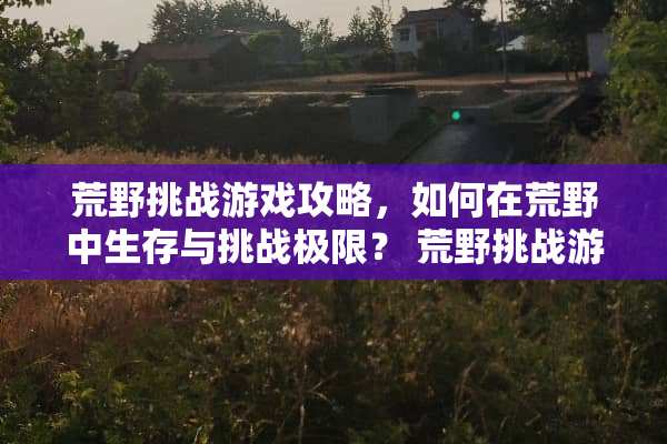 荒野挑战游戏攻略，如何在荒野中生存与挑战极限？ 荒野挑战游戏攻略