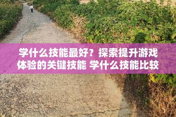 学什么技能最好？探索提升游戏体验的关键技能 学什么技能比较好