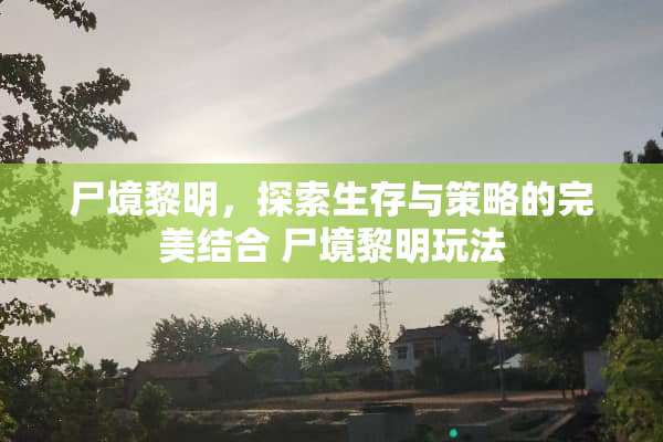 尸境黎明，探索生存与策略的完美结合 尸境黎明玩法