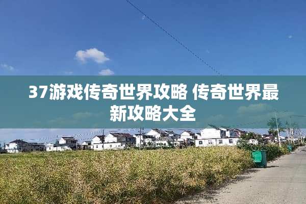 37游戏传奇世界攻略 传奇世界最新攻略大全