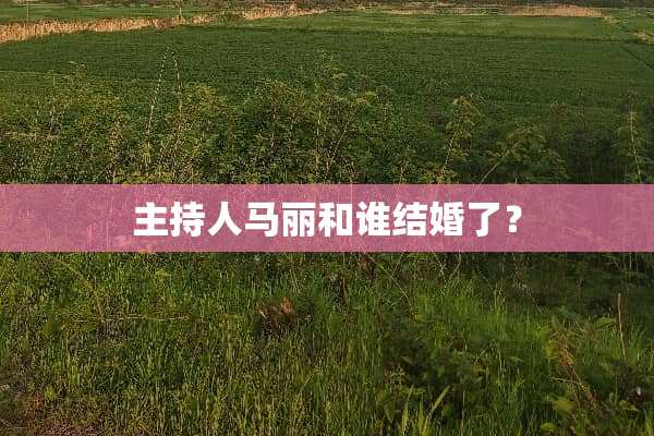 主持人马丽和谁结婚了？