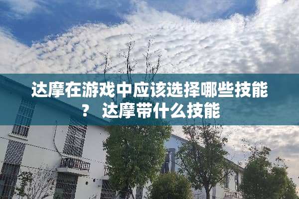 达摩在游戏中应该选择哪些技能？ 达摩带什么技能