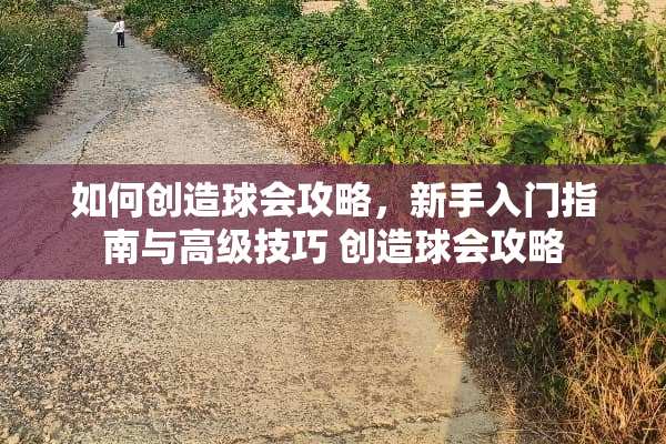 如何创造球会攻略，新手入门指南与高级技巧 创造球会攻略