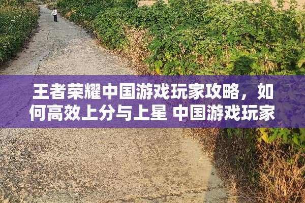 王者荣耀中国游戏玩家攻略，如何高效上分与上星 中国游戏玩家攻略组成