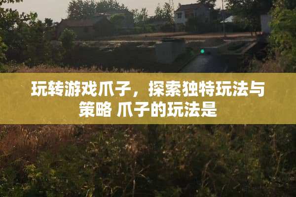 玩转游戏爪子，探索独特玩法与策略 爪子的玩法是