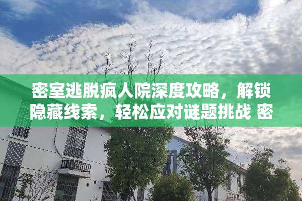密室逃脱疯人院深度攻略，解锁隐藏线索，轻松应对谜题挑战 密室逃脱疯人院攻略