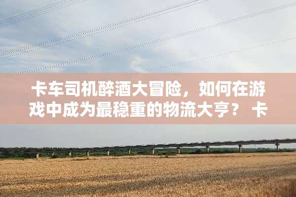 卡车司机醉酒大冒险，如何在游戏中成为最稳重的物流大亨？ 卡车司机醉酒游戏攻略